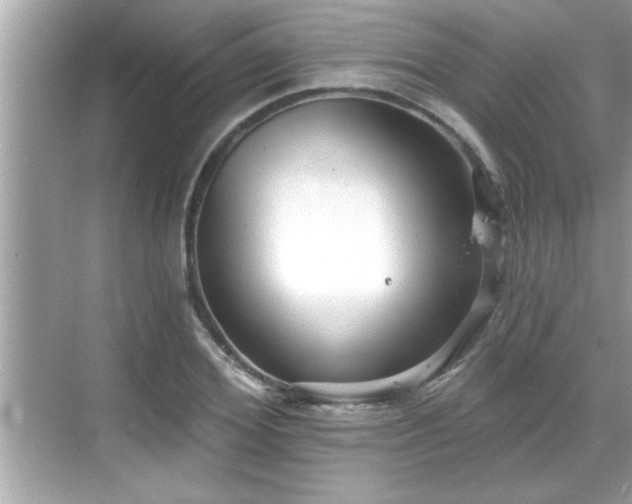 X0000069360980200605150912