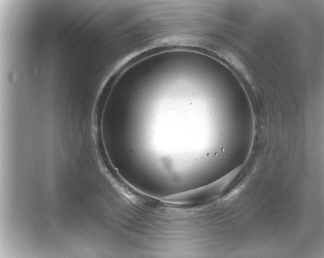 X0000069360981200605150912