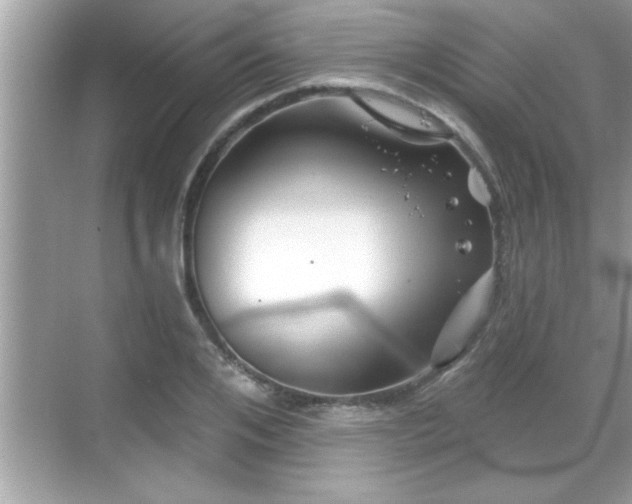 X0000069360984200605150912