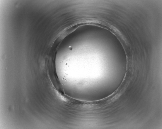 X0000069360985200605150912