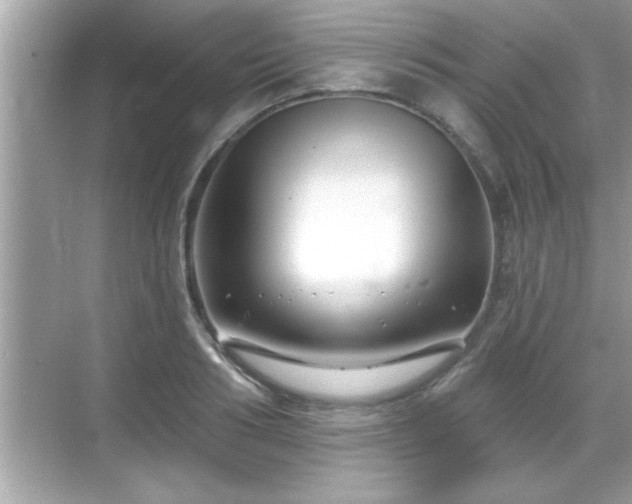 X0000069360986200605150912