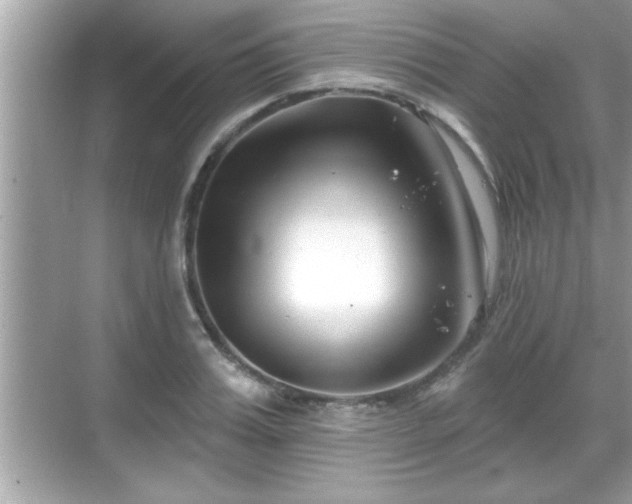 X0000069360987200605150912