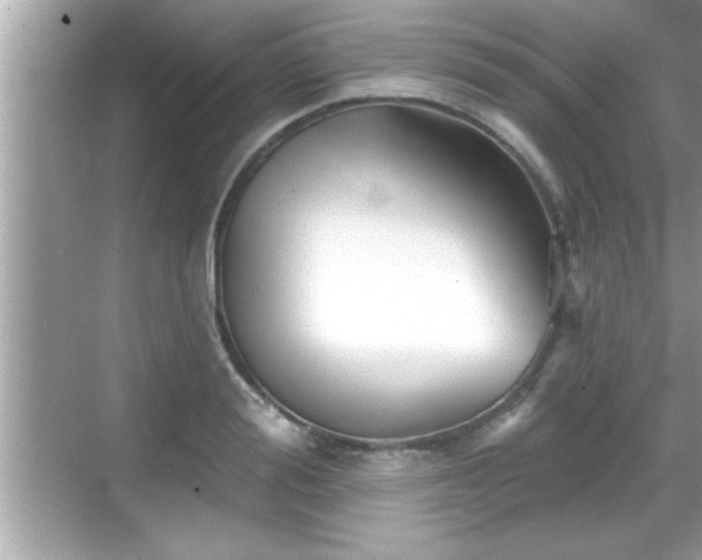 X0000069360988200605150912