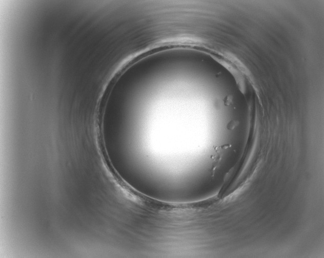 X0000069360989200605150912