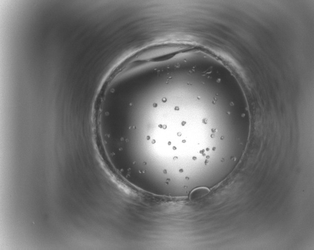 X0000069360990200605150912