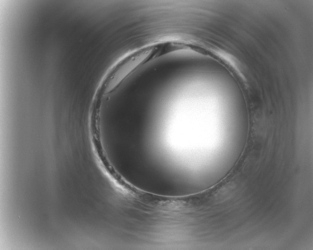 X0000069360991200605150912