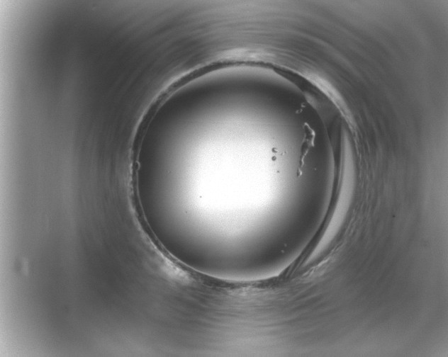 X0000069360992200605150912