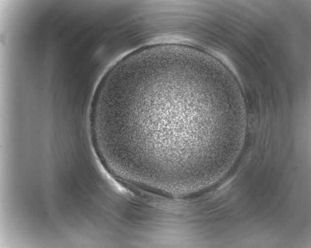 X0000069360995200605150912