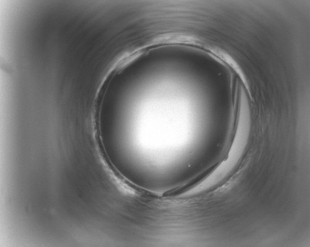 X0000069360997200605150912