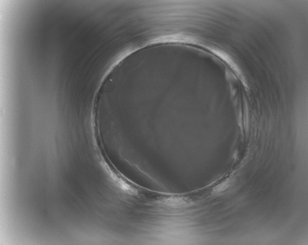 X0000069360998200605150912