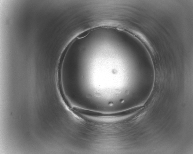 X0000069360999200605150912