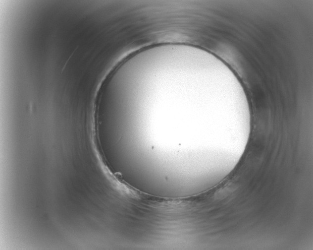 X0000069361000200605150912