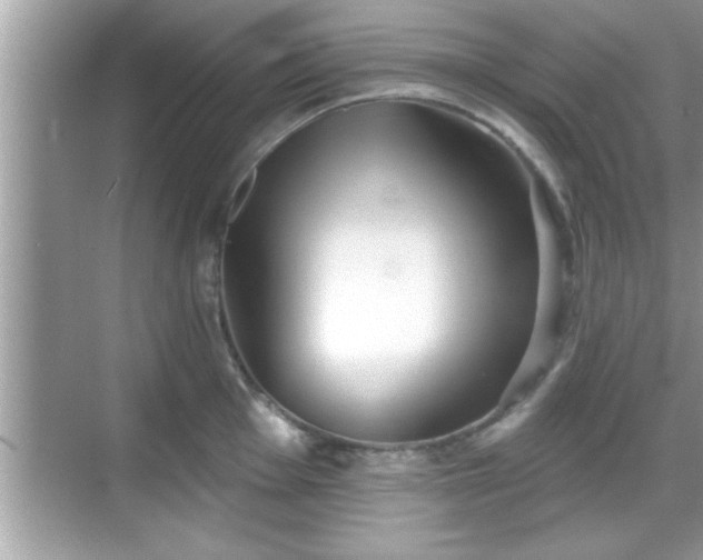 X0000069361001200605150912