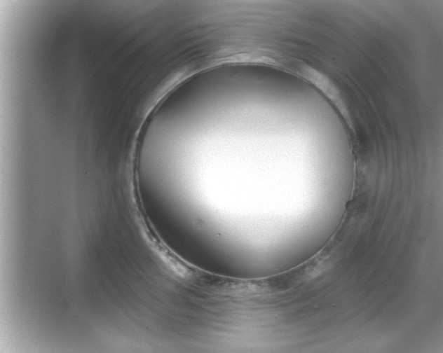 X0000069361002200605150912