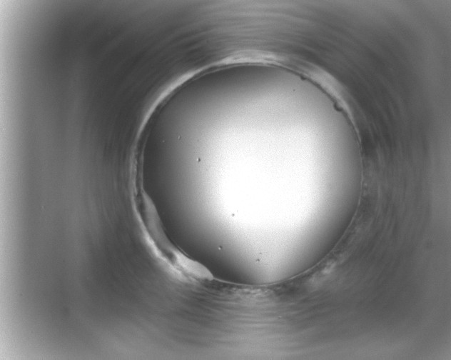 X0000069361003200605150911