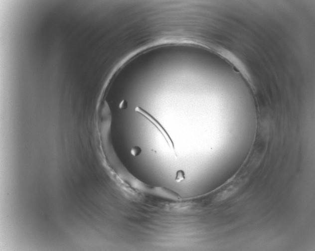 X0000069361004200605150911