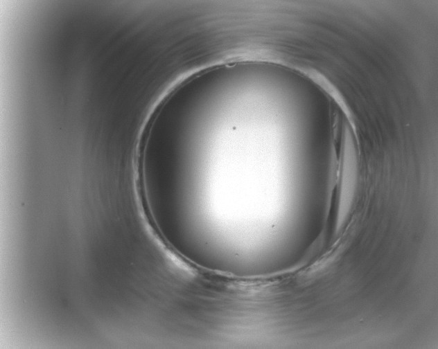 X0000069361005200605150911