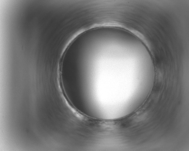 X0000069361006200605150911