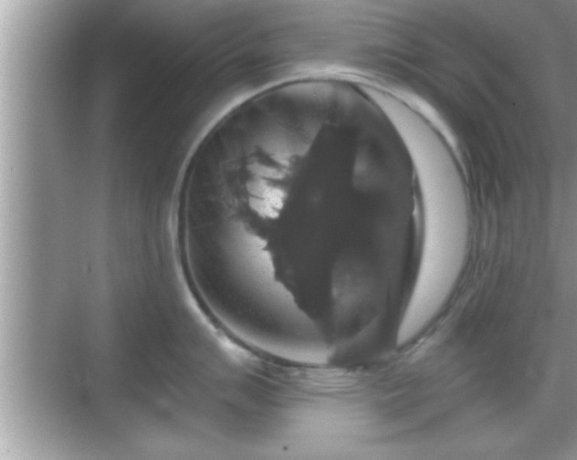 X0000069361007200605150911