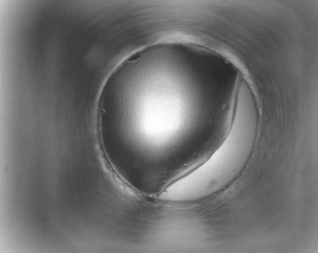 X0000069361008200605150911