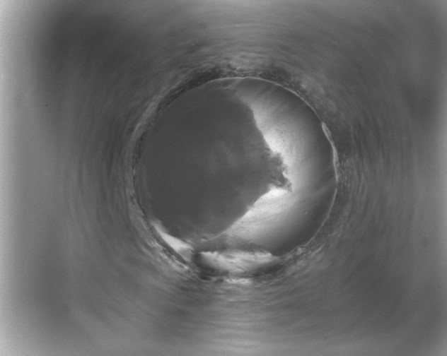 X0000069361009200605150911