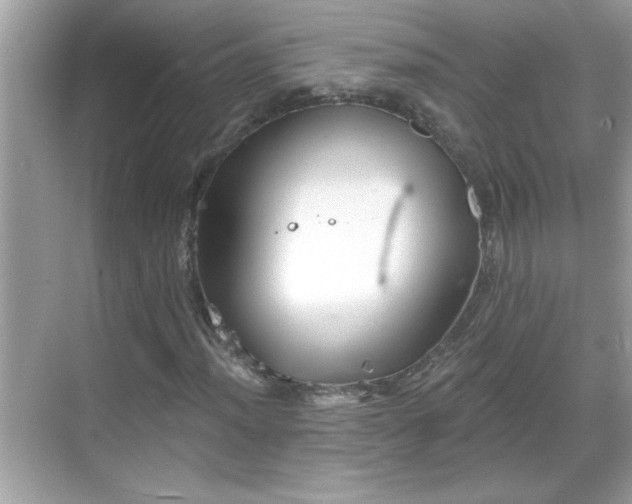 X0000069361012200605150911