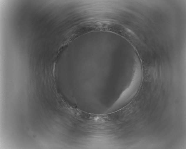 X0000069361013200605150911