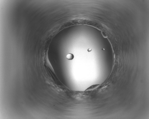 X0000069361014200605150911