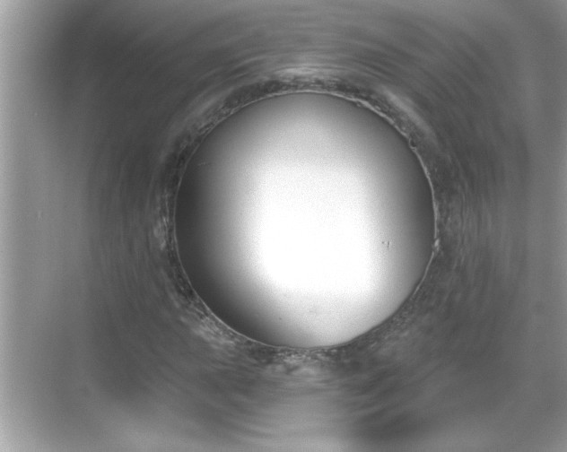 X0000069361015200605150911