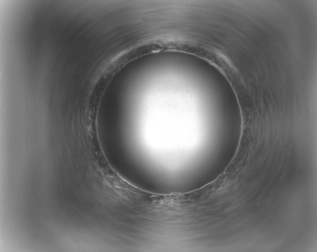 X0000069361016200605150911