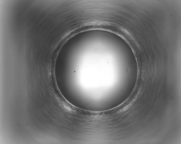 X0000069361017200605150911