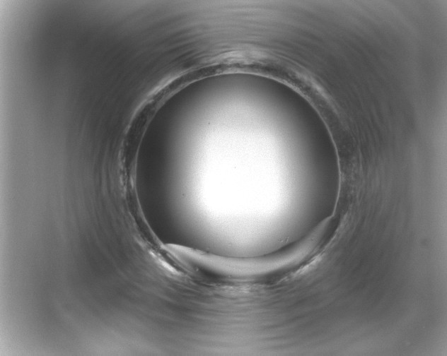 X0000069361018200605150911