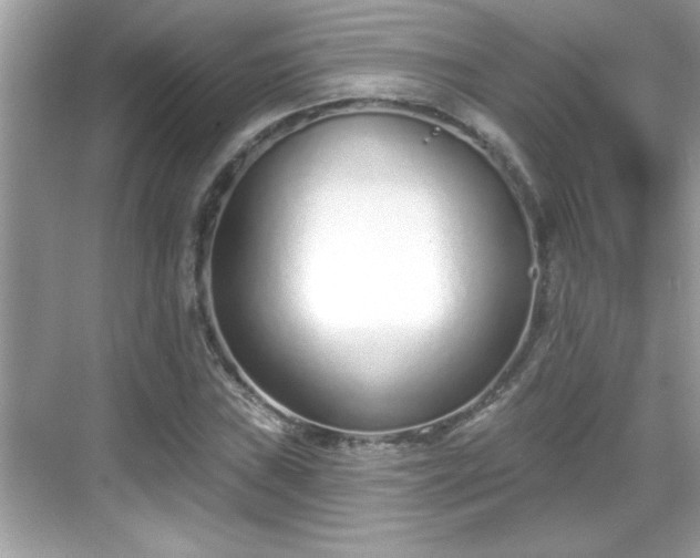 X0000069361019200605150911