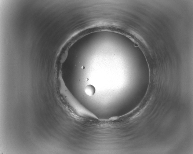 X0000069361021200605150911