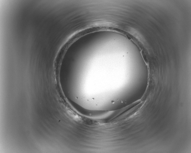 X0000069361022200605150911