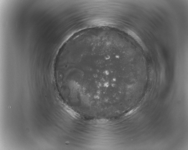 X0000069361023200605150911