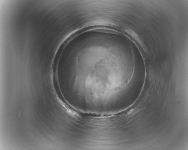 X0000069361024200605150911