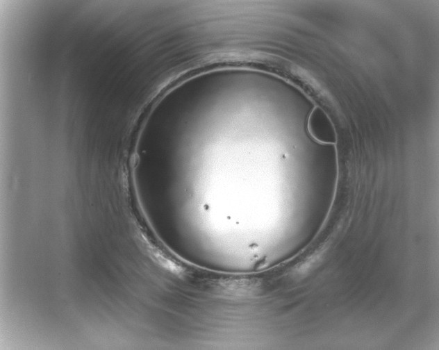 X0000069361025200605150911