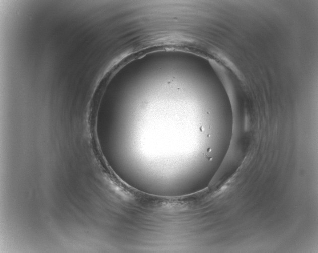 X0000069361026200605150911