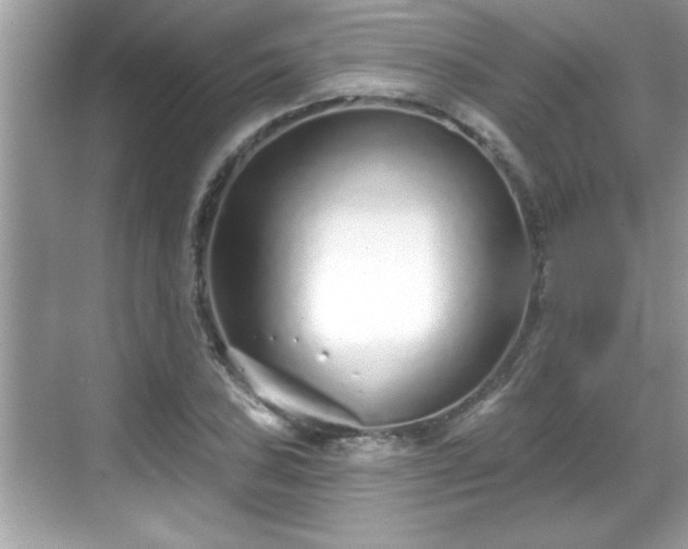 X0000069361027200605150911