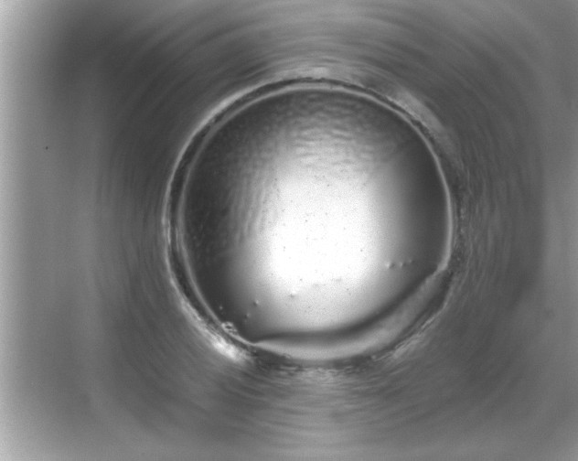 X0000069361028200605150911