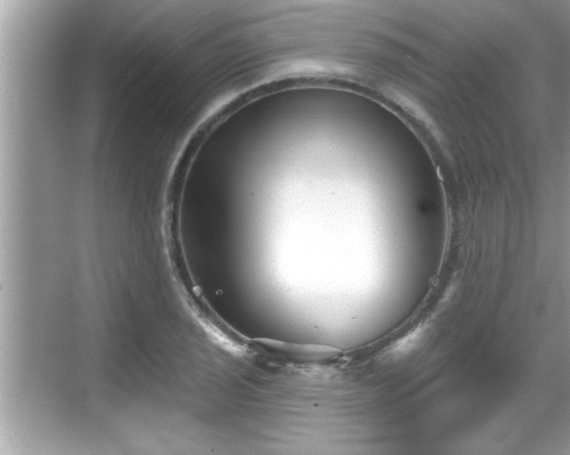 X0000069361029200605150911