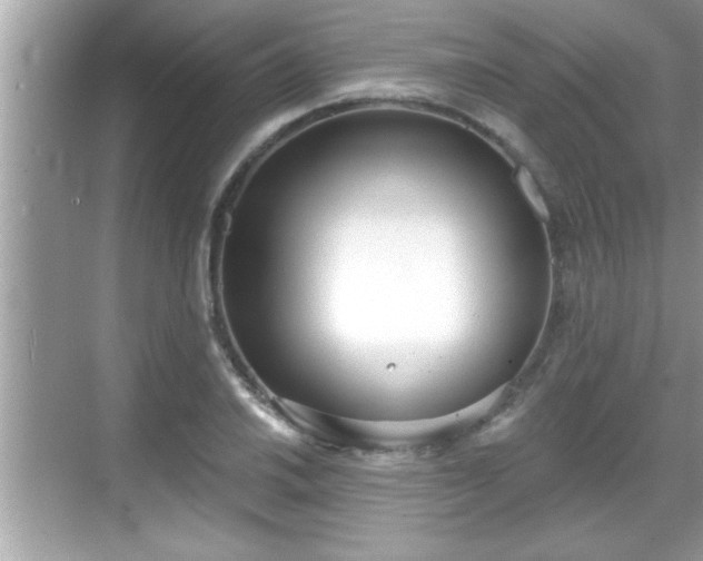 X0000069361030200605150911