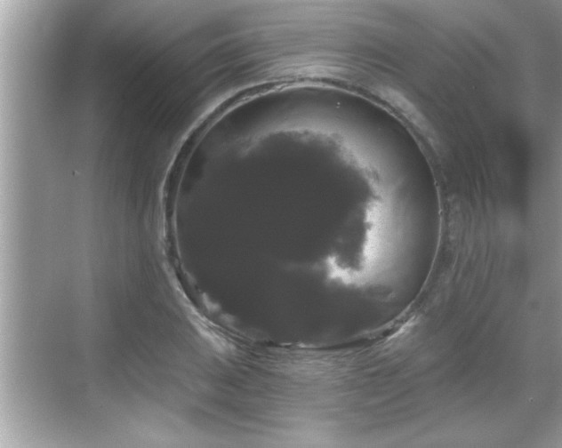 X0000069361031200605150911