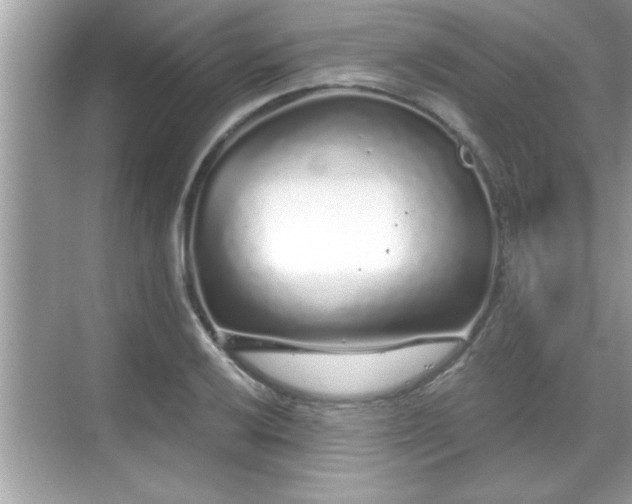 X0000069361032200605150911