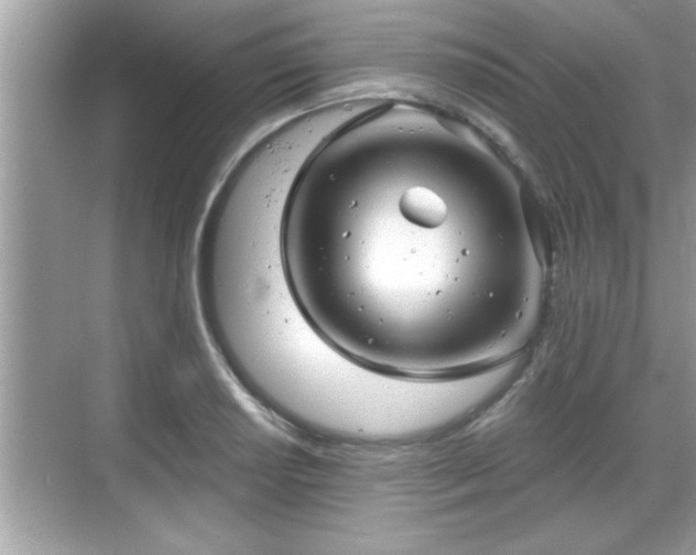 X0000069361034200605150911