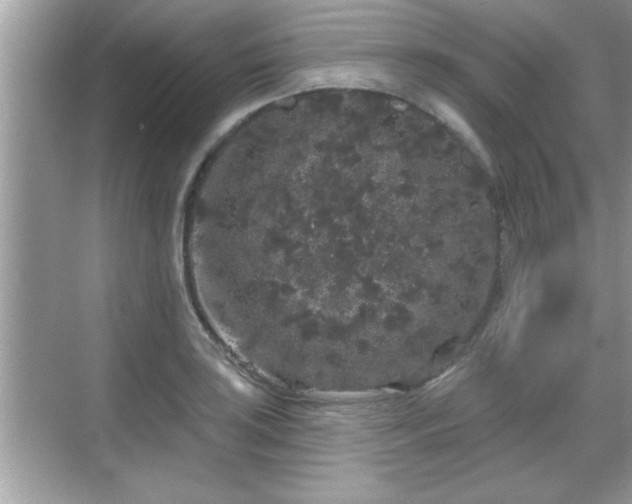 X0000069361035200605150911