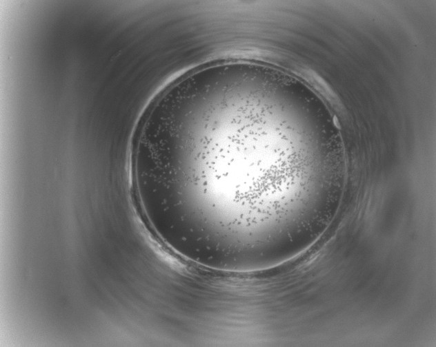 X0000069361036200605150911