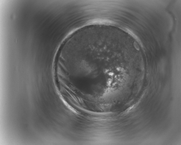 X0000069361037200605150911