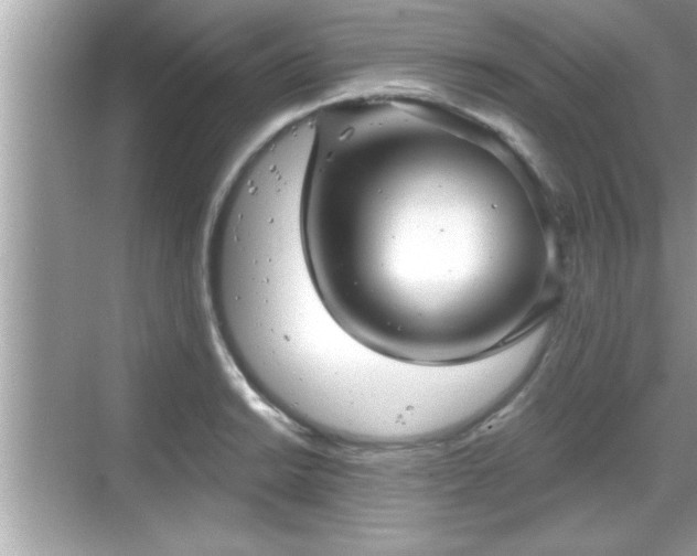 X0000069361038200605150911